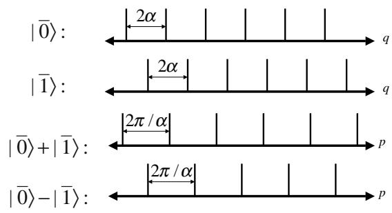 GKP n=2 码字：q 本征态的梳状叠加与 Wigner 函数